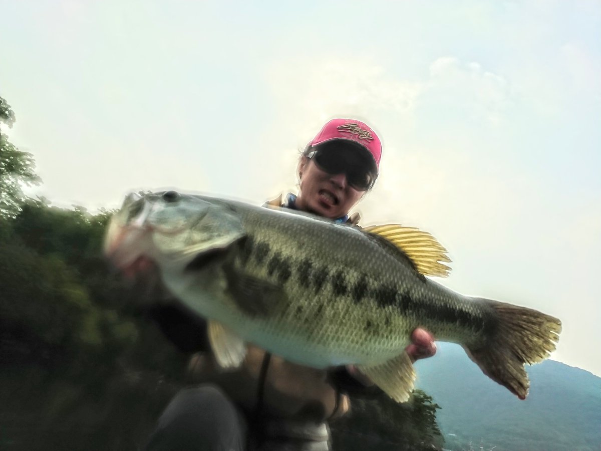 西湖バス釣り