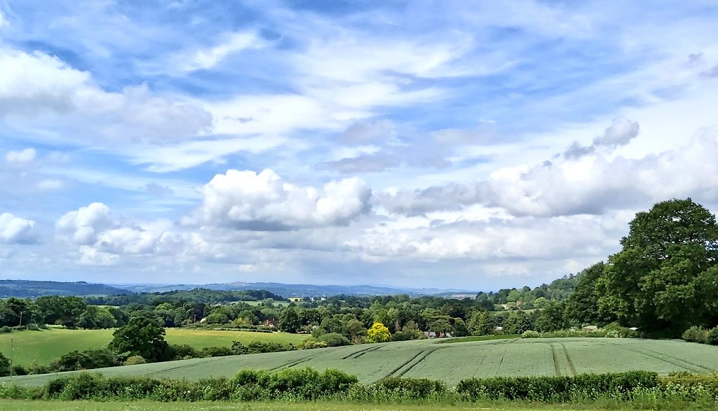 Rolling Devon countryside. Looking west from the Ashclyst Forest near Exeter...❤ #Devon #Exeter  <a href="/GreatDevonDays/">Devon Days #LoveDevon</a>