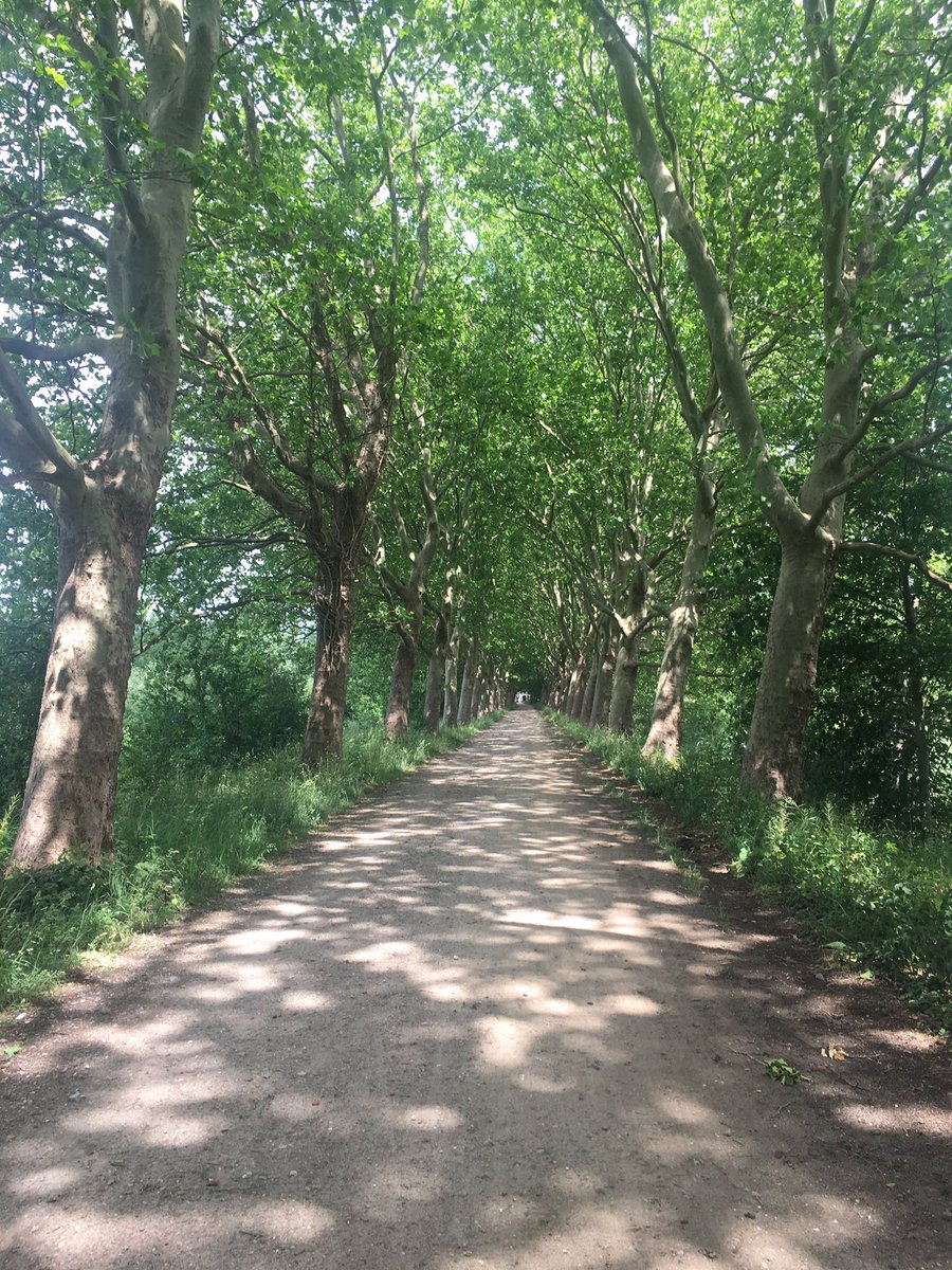 Day 1/7 of #mylifeinpictures. Rules: no words, no people. I will nominate nobody, feel free to join in. I was nominated by 
<a href="/RobertBood/">Robert Bood</a> #Haanwijk