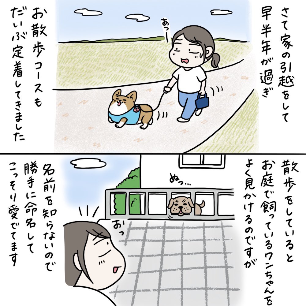 とんきちの散歩中に出会うワンちゃんたちの話🐶
勝手に名前つけて勝手に愛でてます😆 