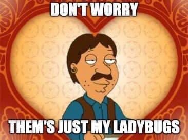 Aflatb's tweet image. #LadyGraham