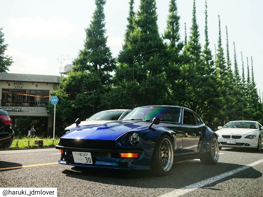 30z 30z