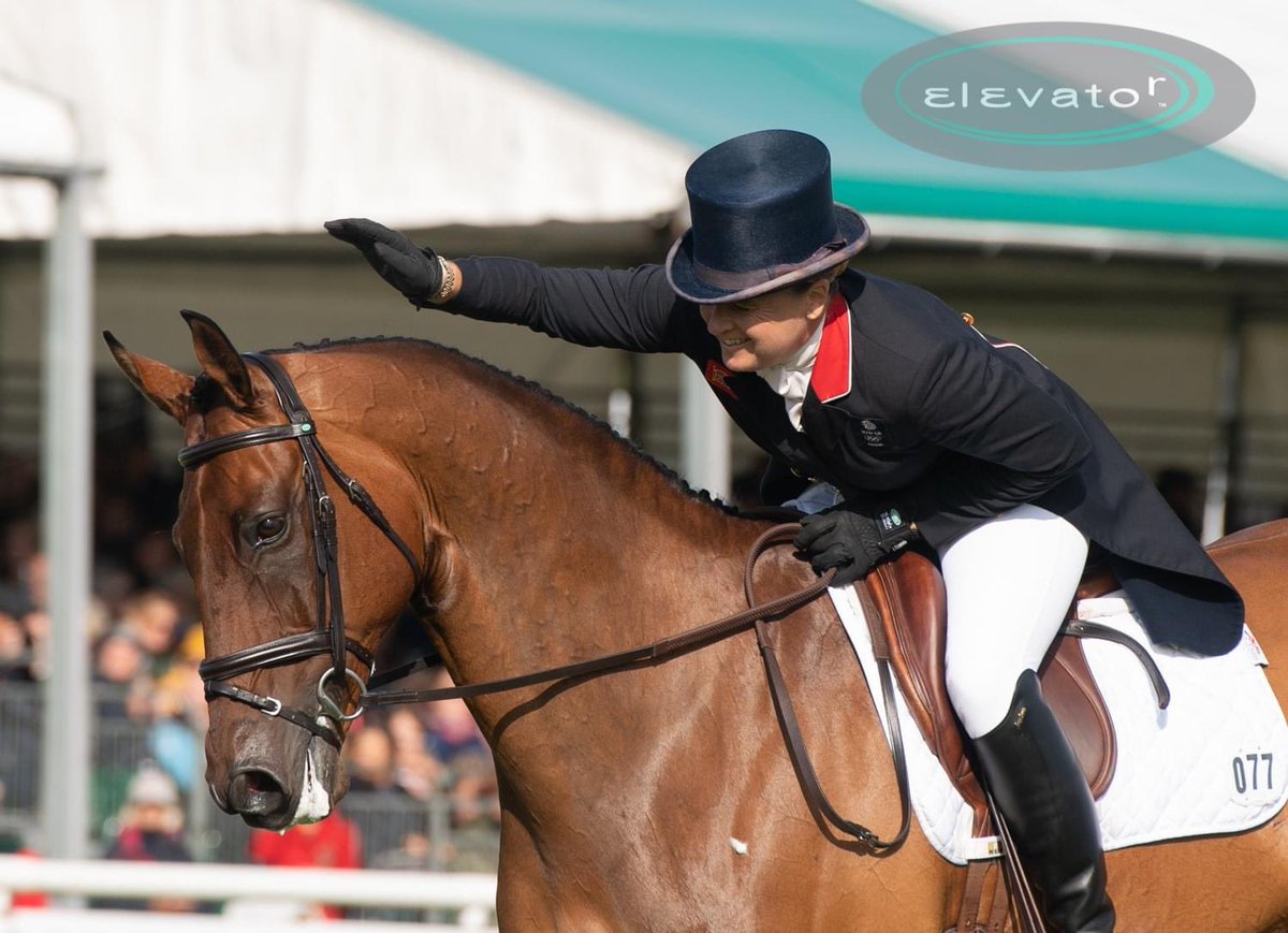 What is your favourite noseband? It is sometimes overwhelming trying to find the right one. We can offer advice as to which one will suit &amp; why. We have a raft of designs, &amp; with our made to measure service you can be certain we only have the comfort of your horse in mind