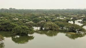 nahluwalia20's tweet photo. Why has Tamil Nadu's State Board for Wildlife cleared forest dept’s proposal to reduce bird sanctuary area from 5 km to 3 km? Proposal has now been forwarded to National Board for Wildlife for approval 
@SudhaRamenIFS @RandeepHooda 
#SaveVedanthangal #SavePrideofTamilNadu https://t.co/A916FBdmWw