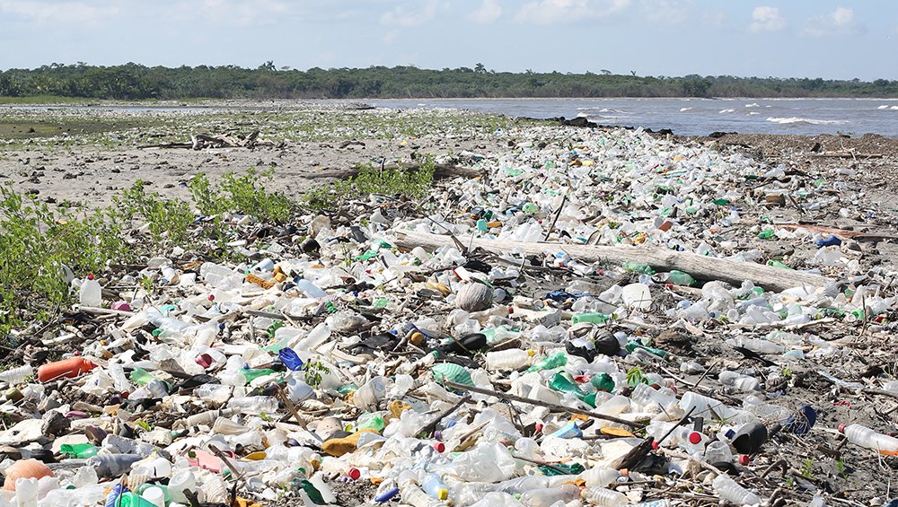 4ocean's tweet image. If current consumption habits continue as-is, we'll have discarded 12 billion tons of plastic waste into landfills and the environment by 2050.