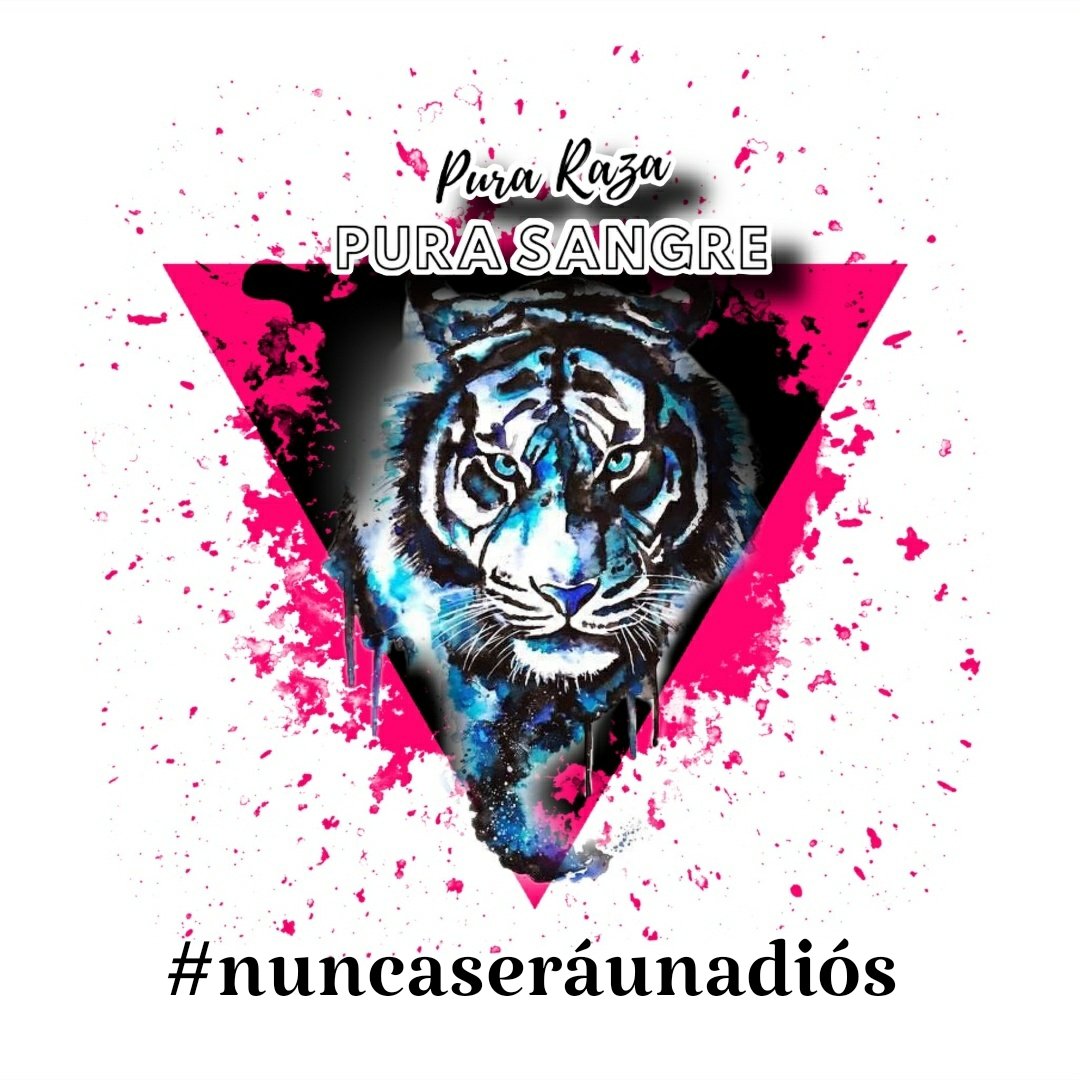 Nos vemos con la necesidad de comunicar que Pura Raza desaparecerá de clubes pro y de su andadura competitiva una vez finalicen todas las competiciones. No ha sido una decisión fácil pero si que ha sido la mejor decisión.Lo que nunca se podrá decir de este club es que no luchamos