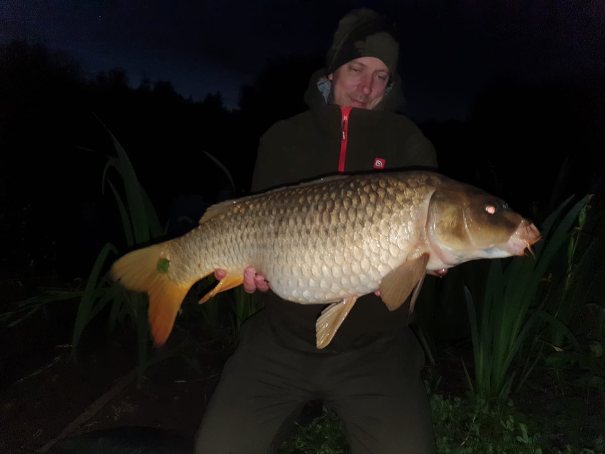 SpankyWHUFC's tweet photo. @CarpmanCrow, thanks for the recommendation for Mesters/Alderfen mate. Just got back from my first session, 6 landed including this lovely Fully Scaled mirror & this cracking Ghostie. CoreBaits CB4 doing the trick again.
#CoreBaits
#NoHypeJustBait
#cb4
#GetOnTheCore
#carpfishing https://t.co/0I2VGvFP02