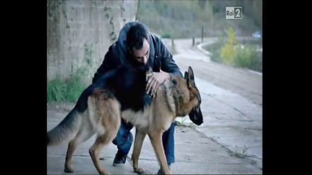 PilarAbellaFC's tweet photo. #RexSeries #Rexfans #IlCommissarioRex #italianseries #throwback 😍🔝🎬💯♥️ @alebarela @Francescoarca1 https://t.co/JKUljC8DPi