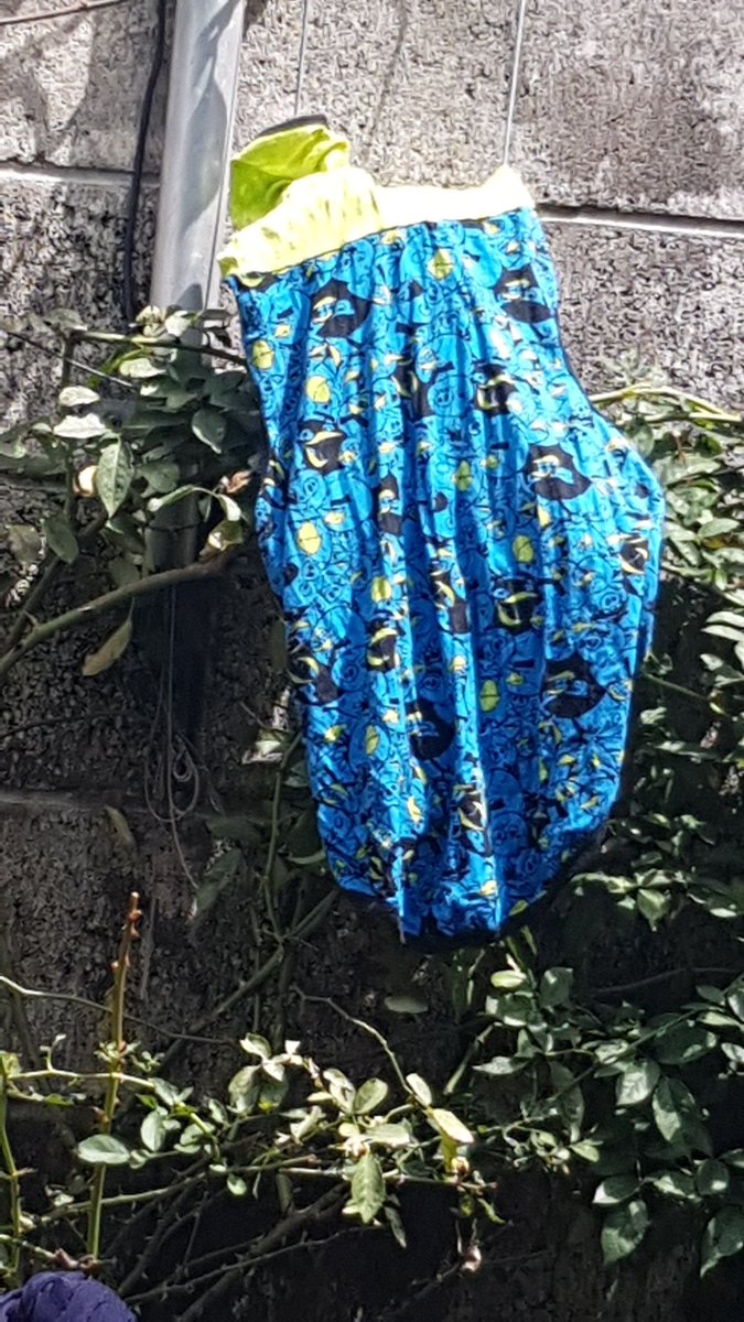 Bessy_Rios's tweet photo. Hasta la ropa del #BongoRíos lavamos, aprovechando el sol y también a él le tocó baño. #DomingoConSol https://t.co/3GBUkRIaNJ