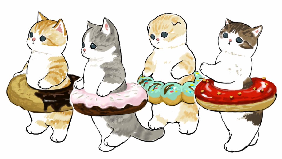 no humans cat white background simple background food animal focus doughnut  illustration images