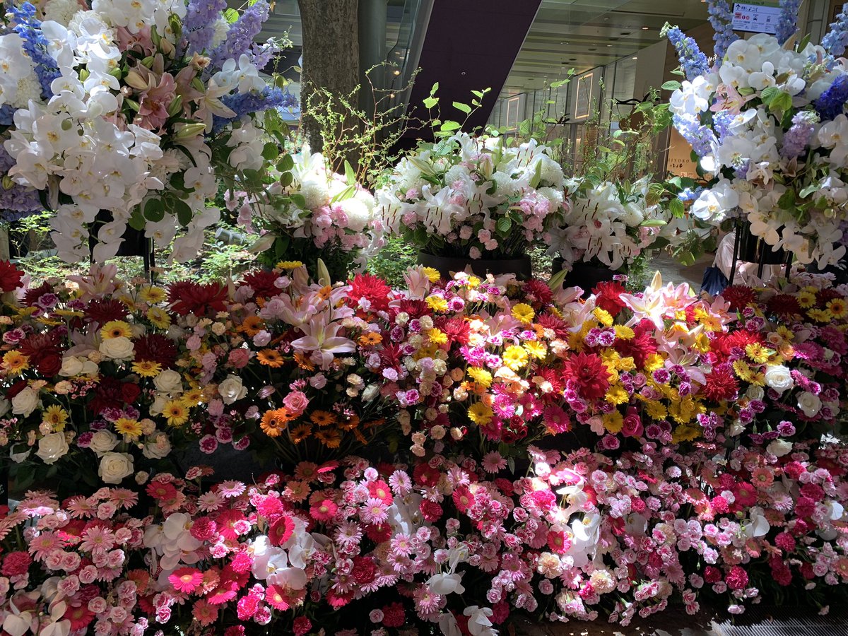 さくら ひなこ キャナルシティ博多で見かけた花