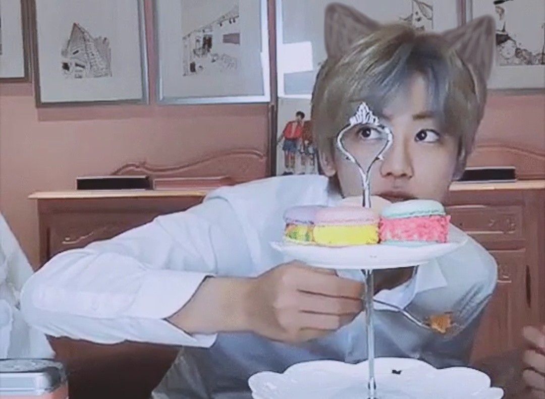 キラリ✨คุนนู๋น้องลูกเน้กโกะจัง🐈👑✨ tweet media