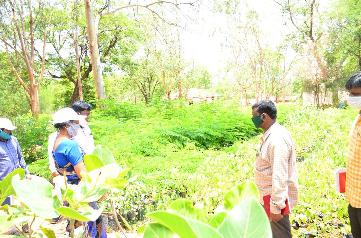 dpro.wanaparthy.ts@gmail.com tweet media