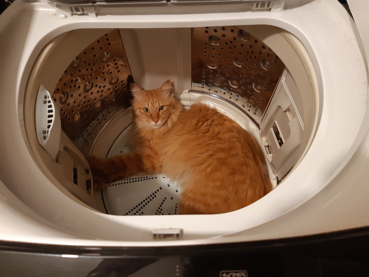 小泉 直子 Mozumi Twitter