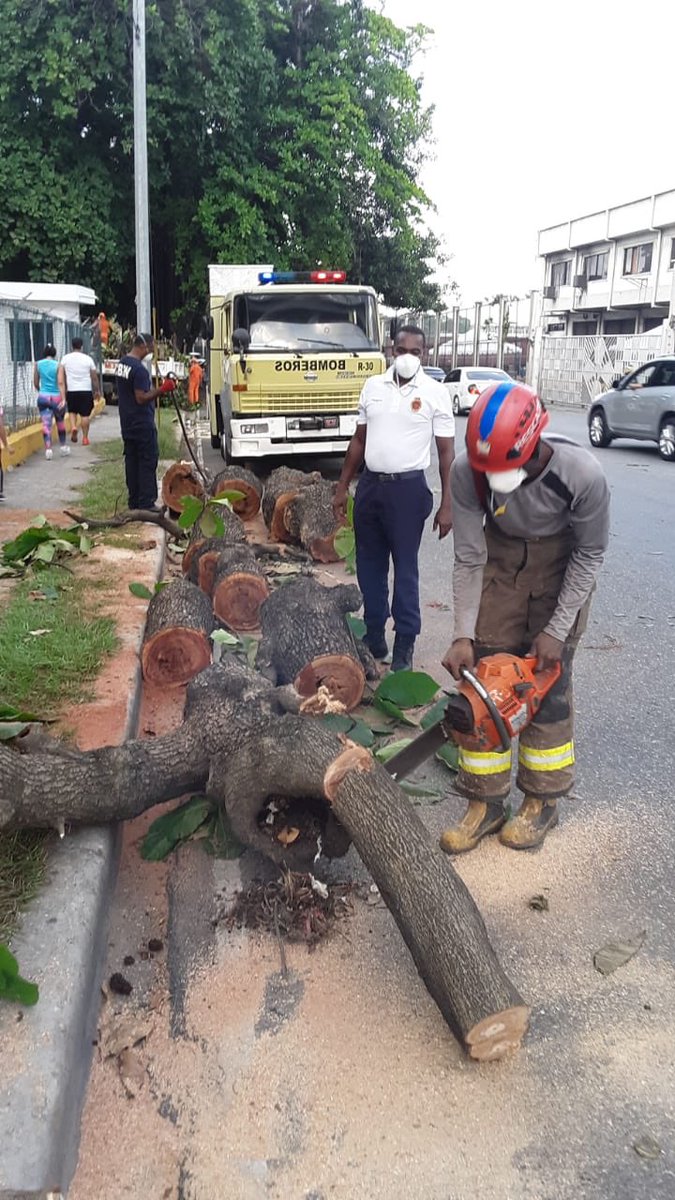 BomberosDN (@bomberosdn) on Twitter photo Cuando llegan las lluvias, lamentablemente derriban algunos árboles! <a href="/BomberosDn/">BomberosDN</a> al servicio de la ciudadanía. Cuando llegan las lluvias, lamentablemente derriban algunos árboles! <a href="/BomberosDn/">BomberosDN</a> al servicio de la ciudadanía.