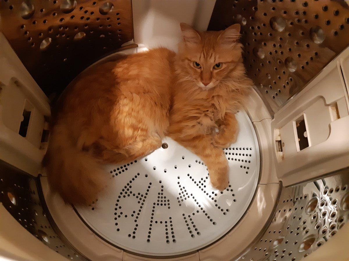 小泉 直子 Mozumi Twitter