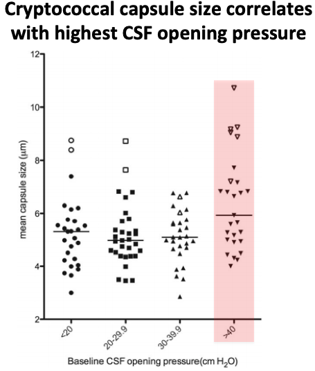 15/Next, human: This study compared ICP and capsule size in HIV-associated cryptococcal meningitis.Patients with the largest fungal capsules also had the highest CSF opening pressures, directly linking fungal capsule and elevated ICP.  https://pubmed.ncbi.nlm.nih.gov/23945372/ 