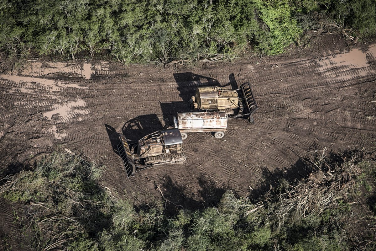 GreenpeaceArg's tweet photo. Esta es la realidad del norte de nuestro país: las topadoras avanzan destruyendo el hogar de comunidades y especies únicas. Firmá y pedile deforestación cero a los gobernadores de Salta, Chaco, Santiago del Estero y Formosa: https://t.co/WLxIy4Robp #DestruirBosquesEsUnCrimen https://t.co/60sgw90yQr