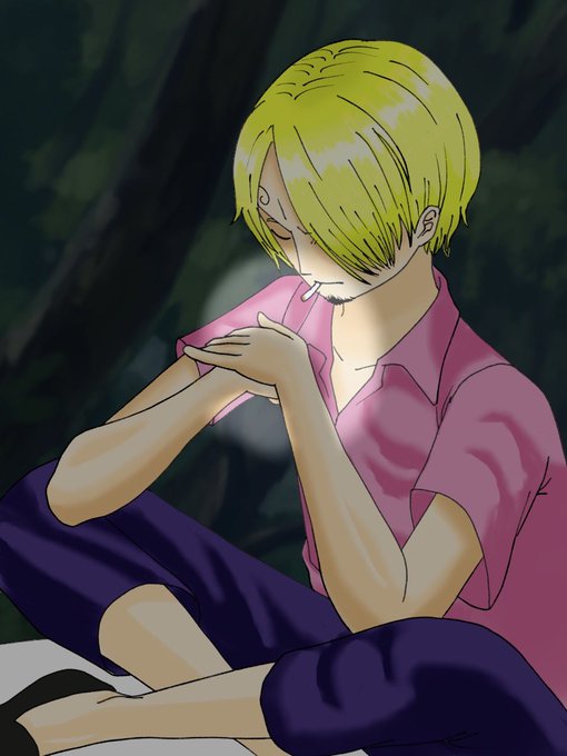 ンピースのtwitterイラスト検索結果