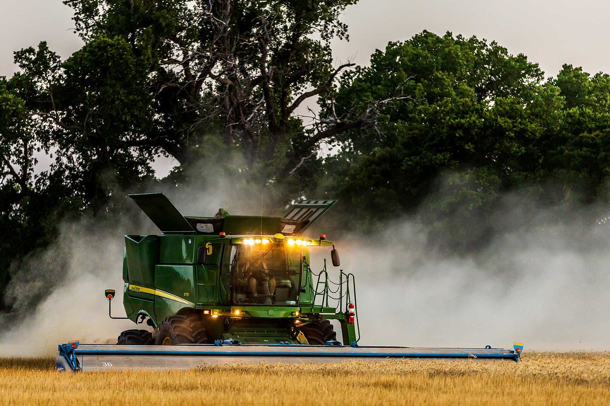 Laura Boroughs-Haffner tweet media