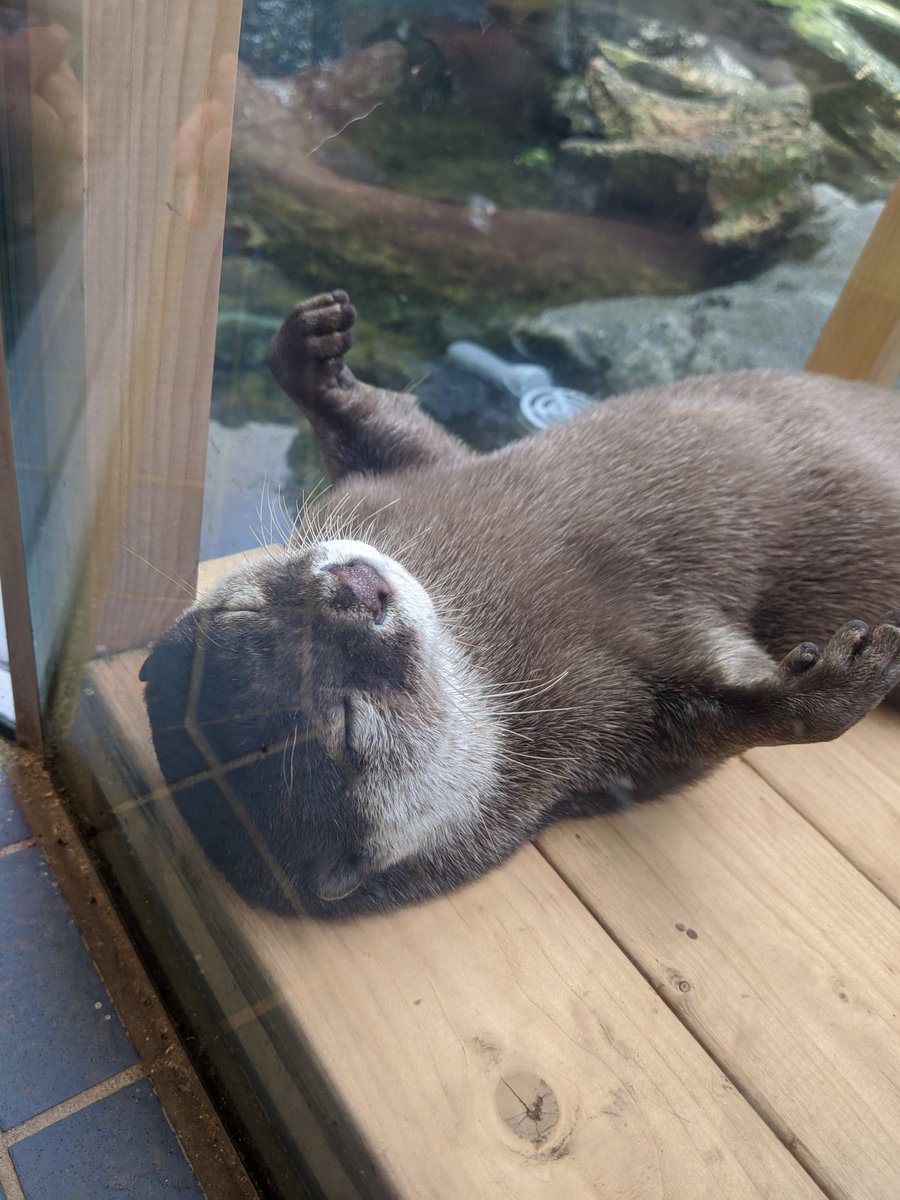 久しぶりの仕事で熟睡です。