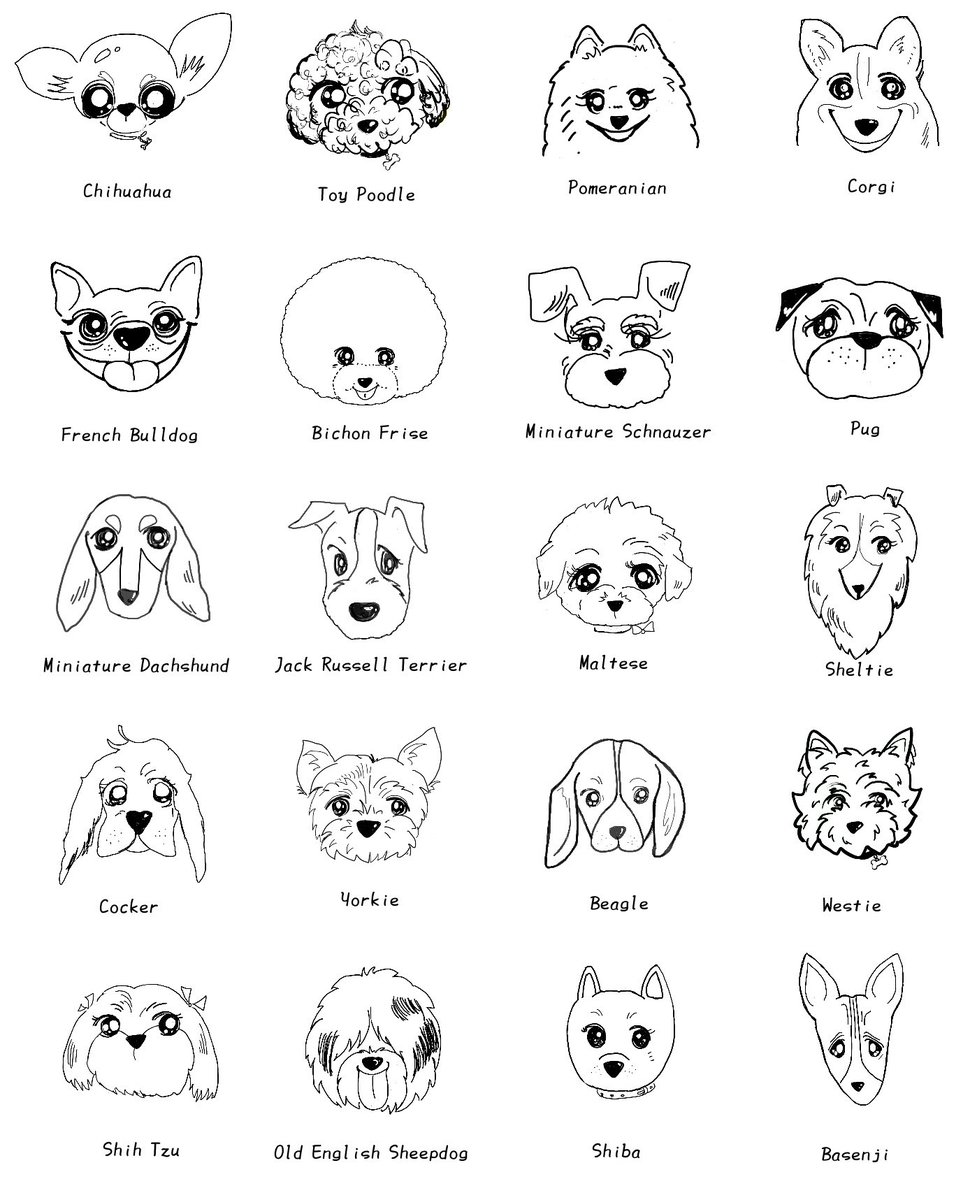 犬好き フォロバ100 協力お願い オールスター犬 のイラストtシャツ販売 Suzuri 利益の500円を医療機関に寄付 します T Co Rmrfgoikoe 今なら Tシャツ1枚1000円オフキャンペーン中なので1枚1580円 コロナ 犬 拡散希望 拡散希望rt