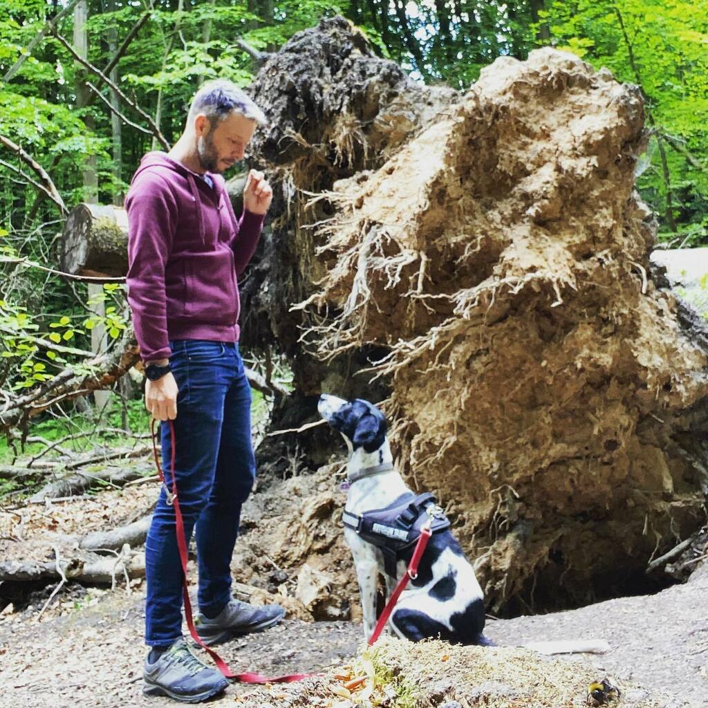 helloSt3phan's tweet image. Sunday walkies with the little treat monster .
.
.
.
.
.
.
#gaydogdad #pointersofinstagram #gaysandtheirdogs #scruffygay instagr.am/p/CBI13Lloh7M/