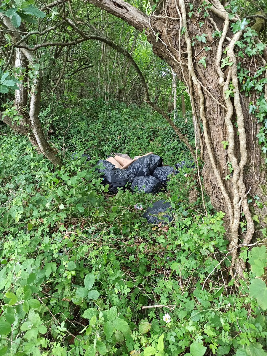 So disappointing that some idiot cannot dispose of their rubbish correctly. Around 20 black bags and some carpet spoiling a beautiful walk through Gorseinon and Loughor.  Gwynfe Road, loughor. @swanseacouncil