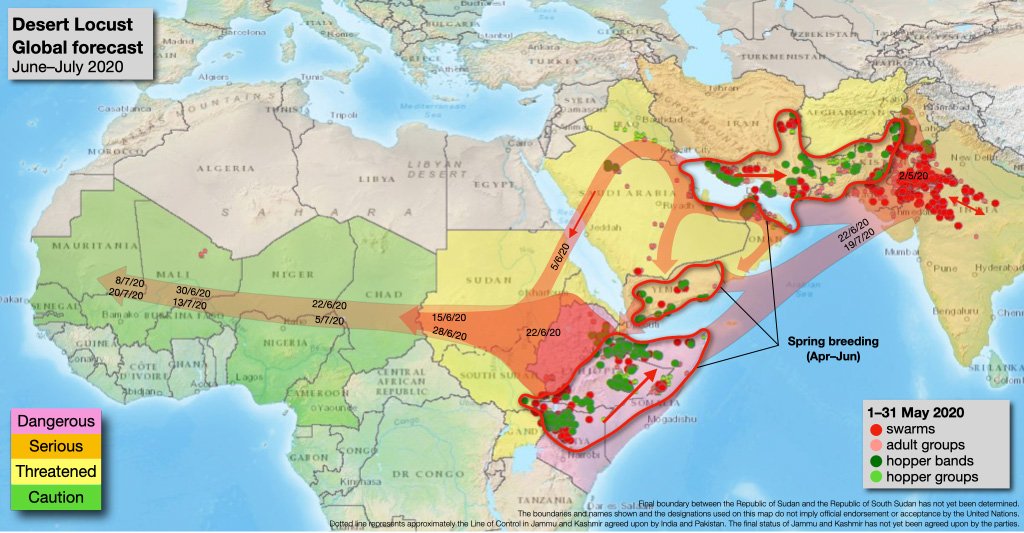 Forecast:The swarms will oscillate east & westwards before returning to lay eggs during monsoon in Rajasthan where successive waves of swarms will arrive from Iran in June & the Horn of Africa in July... Crossing PAKISTAN (Balochistan, Punjab & Sindh): 20th June to 20th July