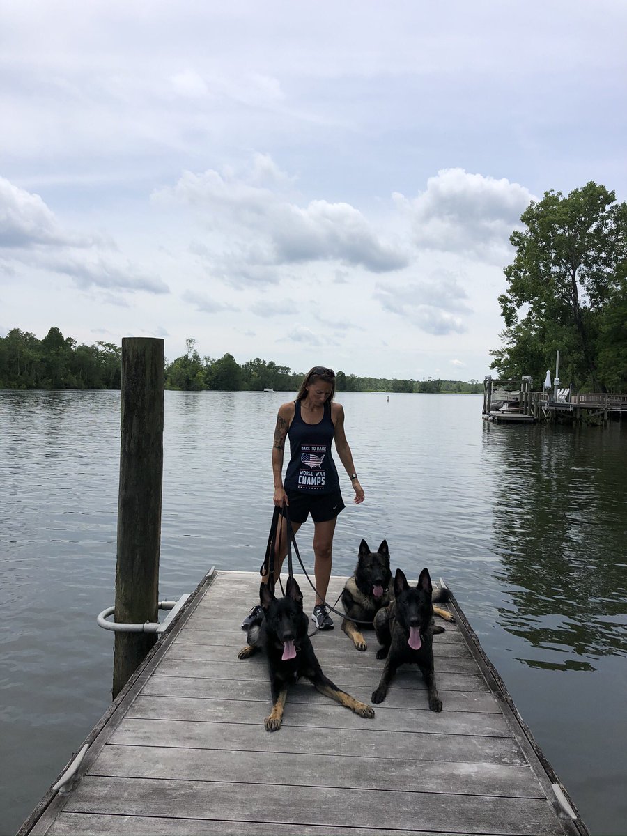 K9Apart's tweet photo. “Back to Back World War Champs,” in case you needed a reminder! #gsd #k9 #workingdog #dutchshepard #backtoback #worldwarchamps #k9apart https://t.co/qB1DHYcO1S