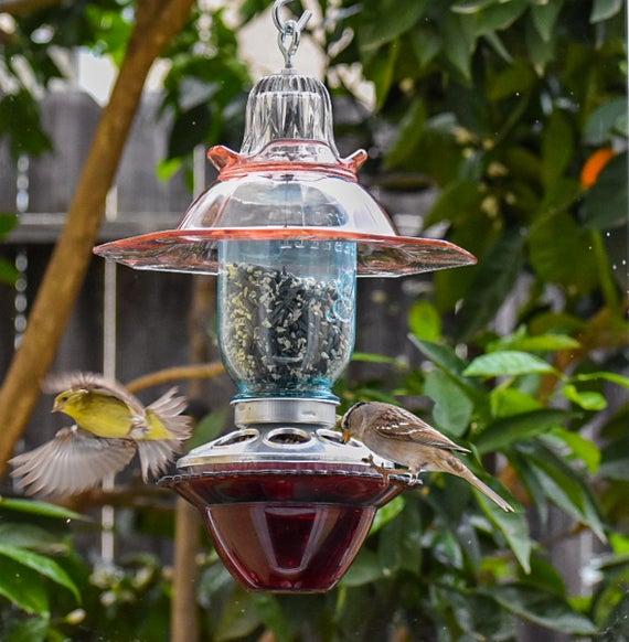 Hanging Bird Feeder Glass Mason Jar, Handmade, etsy.me/2x7Sk9G # #hangingbirdfeeder #handmade #glassmasonjar #avoncapecod