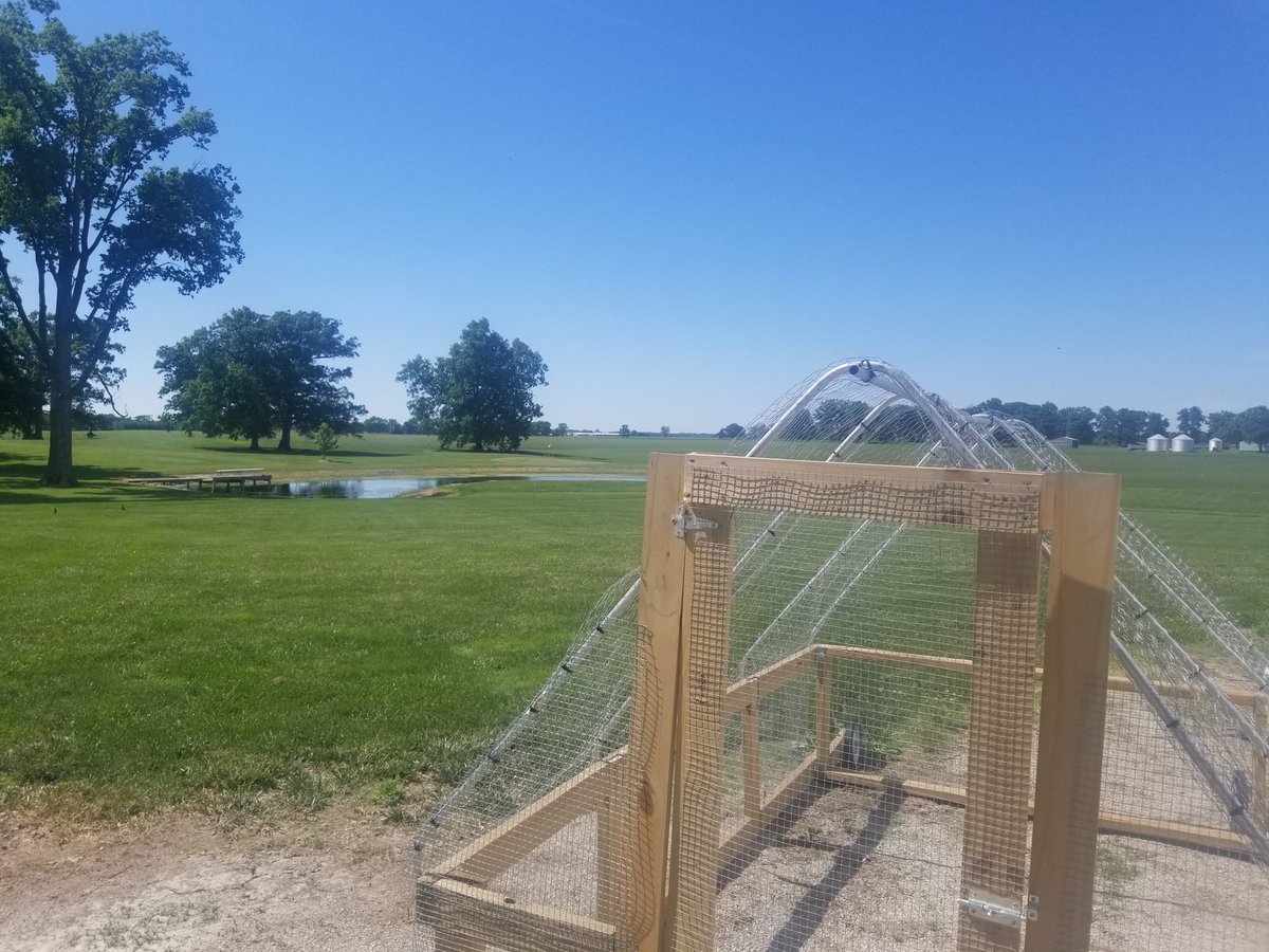Field day set for June 26th at my house

17797 n cr 500w Gaston, IN at 1pm

Nothing to sell. Nothing to prove.  
A place to connect and share ideas.  Bring your friends.

Live harvest
Field tours
Speakers including <a href="/VanceCrowe/">Vance Crowe</a> 
Golf
Concert headlined by <a href="/FlyingBuffaloes/">Flying Buffaloes</a>