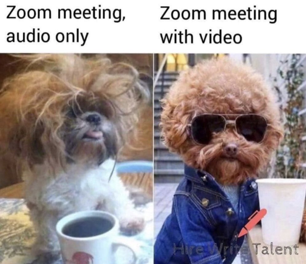 🗣⚠️
This year’s process will be unique for everyone involved, but we know you still need information to make your decisions! 

Join us for an informal meet &amp; greet JUNE 10th @ 16:00 (PST) to learn more about why we ❤️ to brag about the UBC EM Vancouver Island Residency Program.