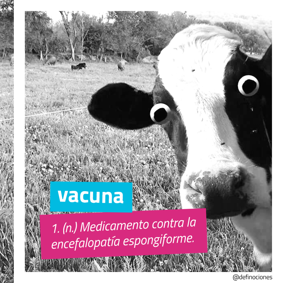 alberzeal's tweet photo. vacuna. 1. (n.) https://t.co/LriPUwV1KI