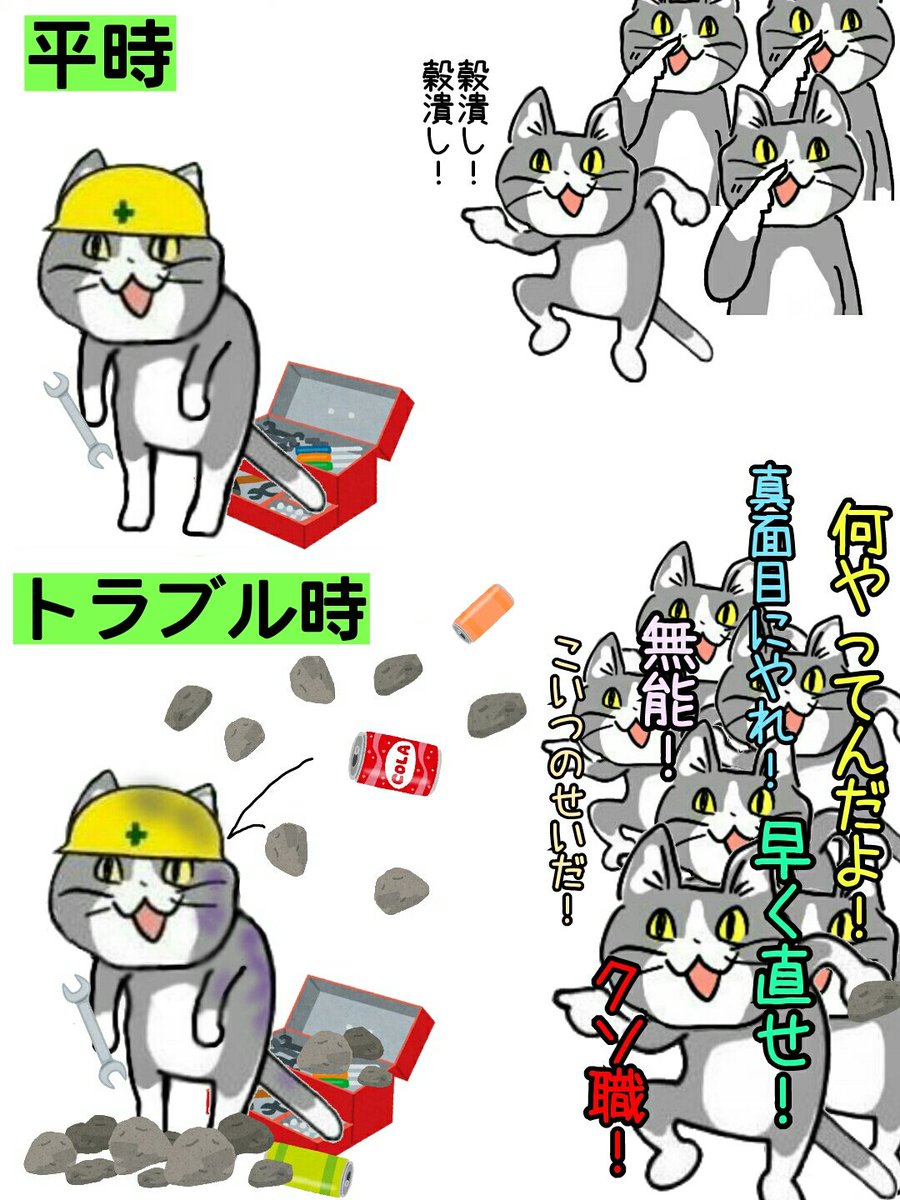 現場 猫 コラ