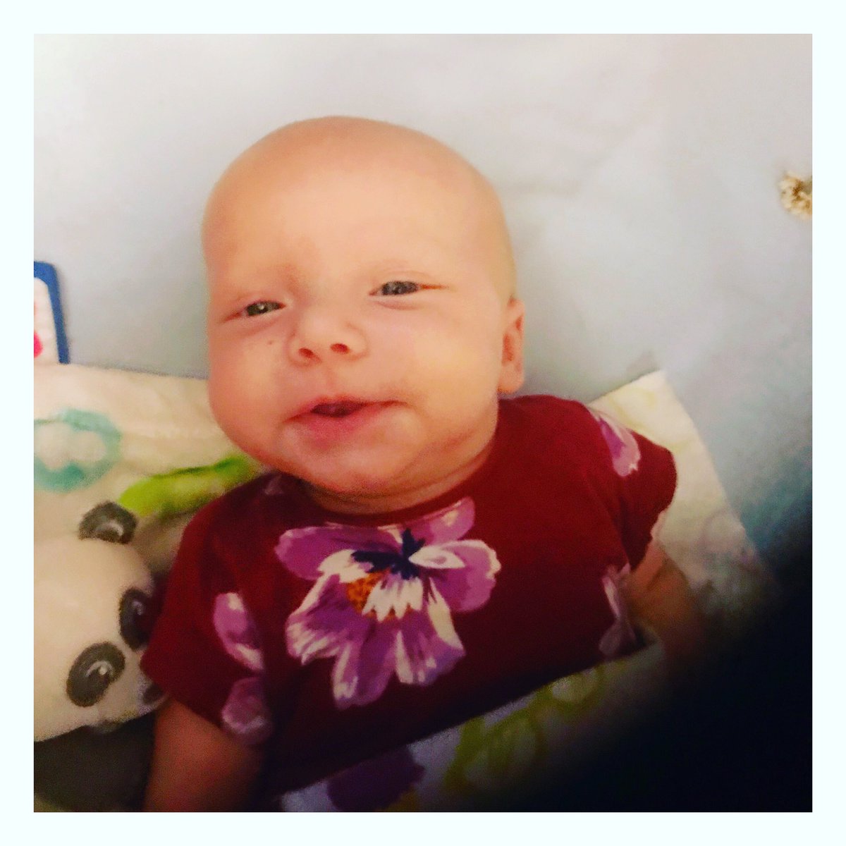 Missrithenay's tweet photo. Can it be? We have smiles, ladies and gentlemen!
.
.
#babysmiles #babygirl #firstsmiles #happy #baby #newfamily #momlife #authors #writers https://t.co/FqEdM7D2sZ
