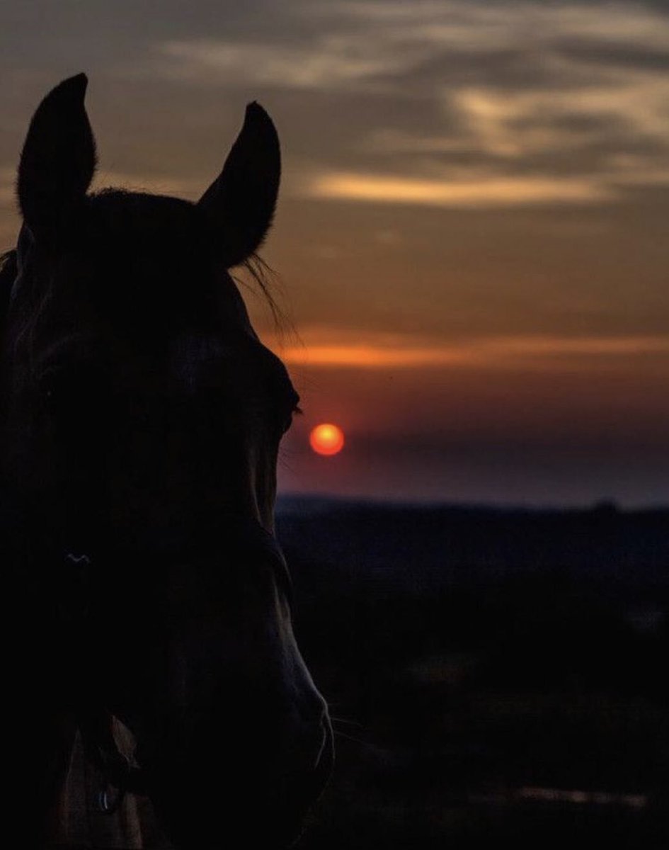 '

تمضي بنا الأيام ضحكات و هموم 
و العمر يمضي بين تذكر و خابر ..