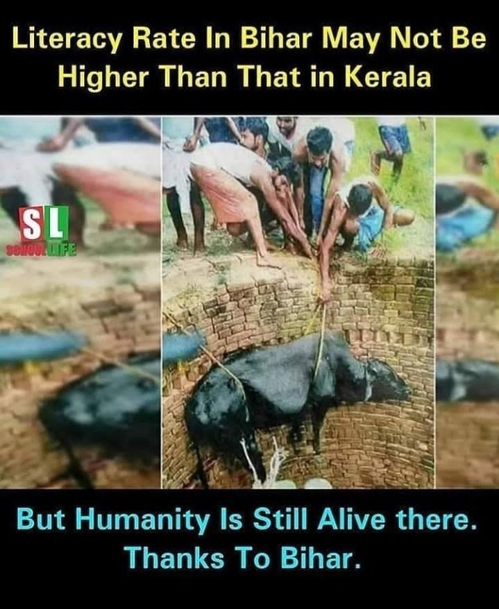 aravtomar_'s tweet photo. #jaibihar
#ElephantDeath #elephantkerala #cowdeath @UmangVijay7 @AmanAna09452358 @amangup7030 https://t.co/fYUe6MC0zW