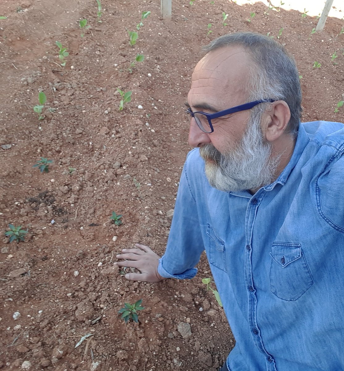 ODTU'den atıldım, Ziraati zar zor bitirdim, 72 tarla gezdim, 1 iflas belgem onlarca icra dosyam var, zar zor geçinir, güzel bamya yetiştirir, hıyarlara şiir okurum. Ya sen?