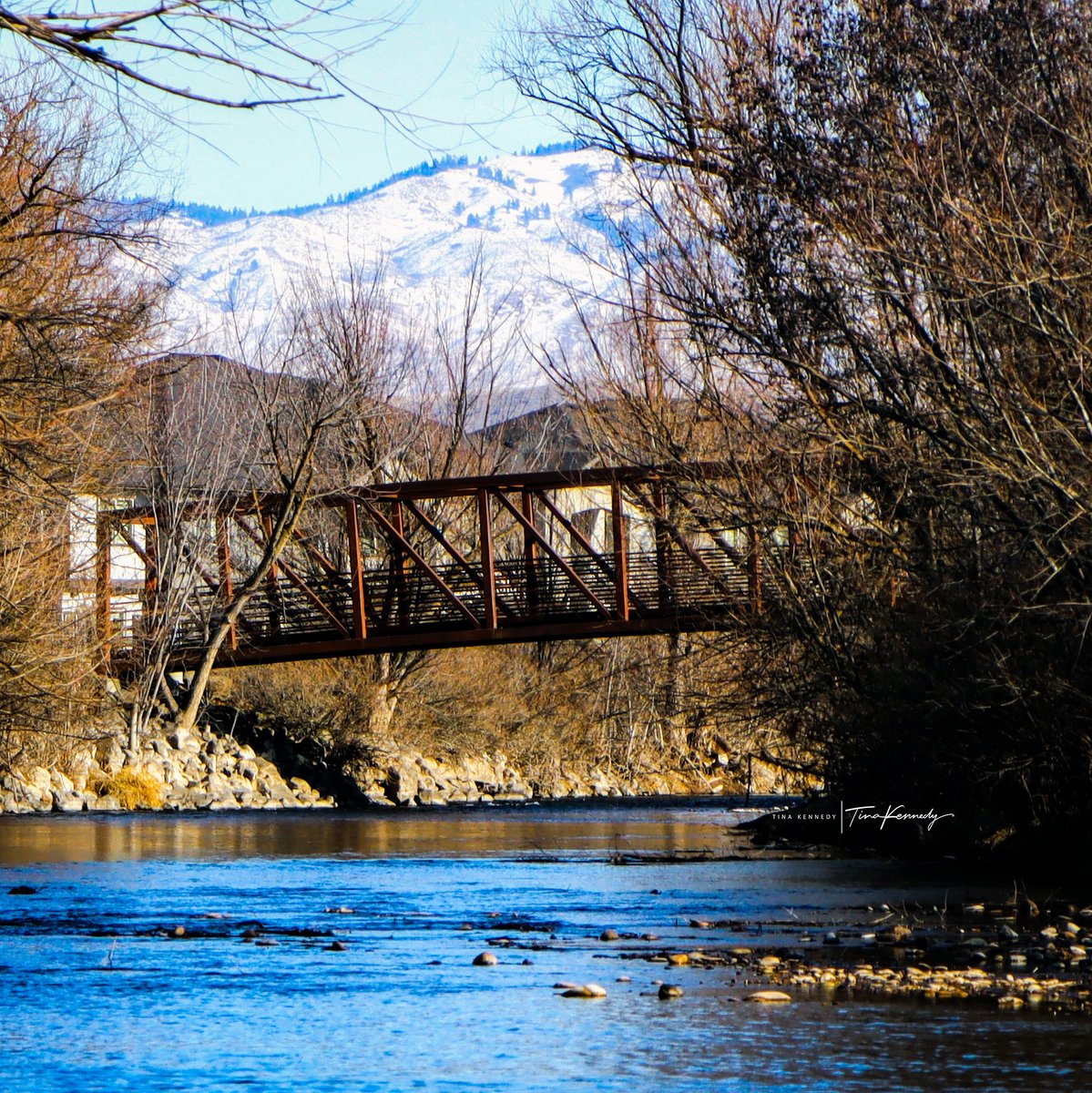 ChaosPhotograp2's tweet photo. Bridge along the Boise Greenbelt
#chaosphotographyidaho #boisegreenbelt #bridge #boiseriver #landscapephotography #naturephotography #phototherapy #photographyislife #afternoonwalk #thisisidaho https://t.co/ABEvj5Rnzp