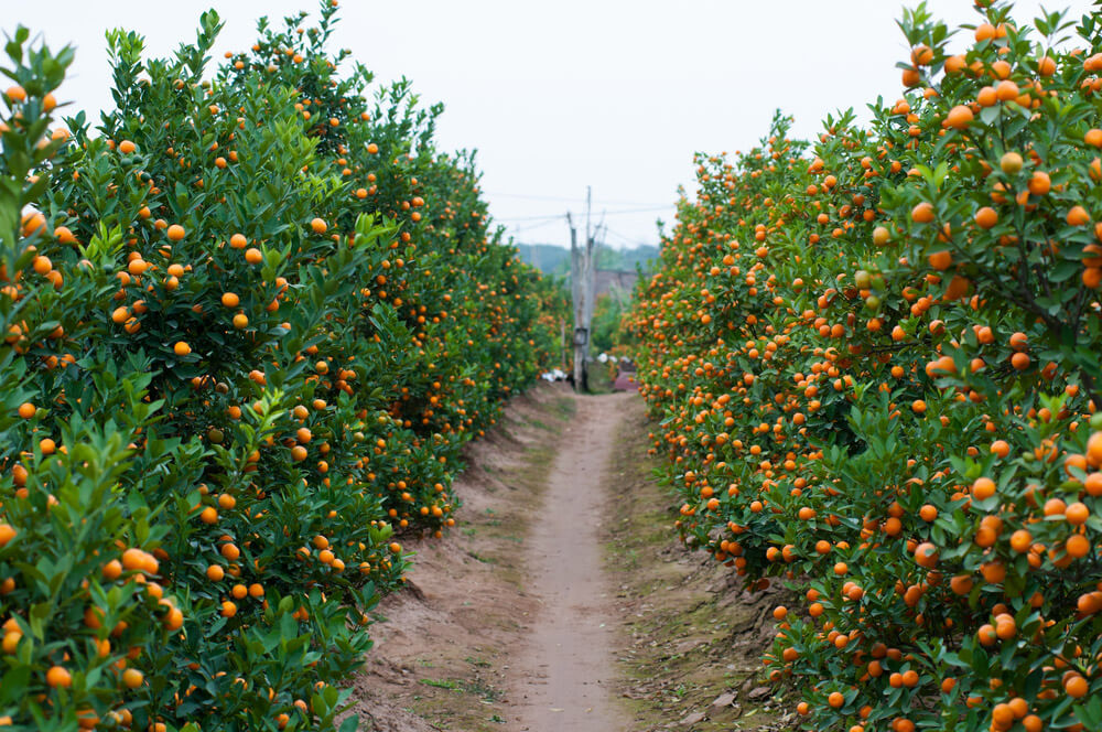 blondemarquise's tweet image. —Mientras tanto, yo.—