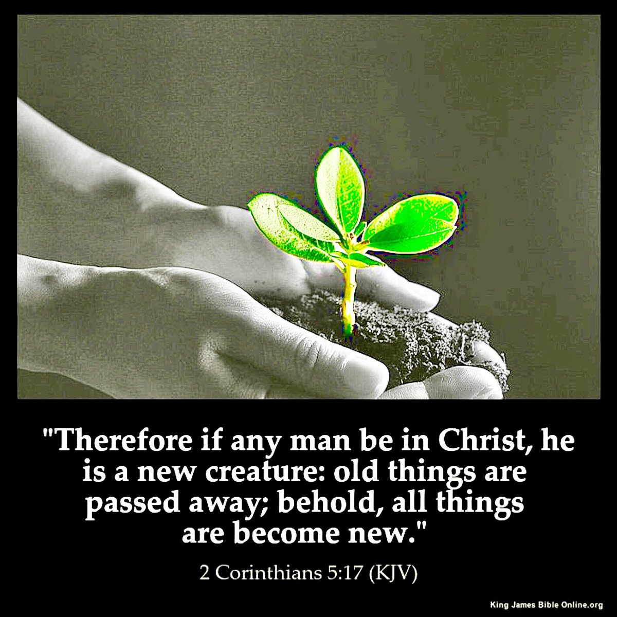 Dkl4jesus On Twitter Therefore If Any Man Be In Christ He Is A New Creature Old Things Are Passed Away Behold All Things Have Become New He Made Him Who Knew No