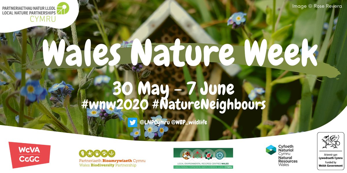 Thanks so much to everyone who got involved in Wales Nature Week. What an incredible week of nature-related stories, facts, pictures and activity. Let's keep up the energy!
#LNPCymru #WNW2020