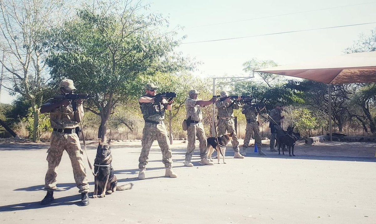 cia_foundation's tweet photo. Ready to tackle any threat 💪🏼💪🏾💪🏿 together.
We're currently on the ground providing support for our brave anti-poaching Rangers & K9's.
#CommittedToConservation
@AnimalDefenders @Animal_Watch @Global_Wildlife @Protect_Wldlife @LionRecovery @BellaLack @peteswildlife @sapeople https://t.co/XMOOsMLFN7