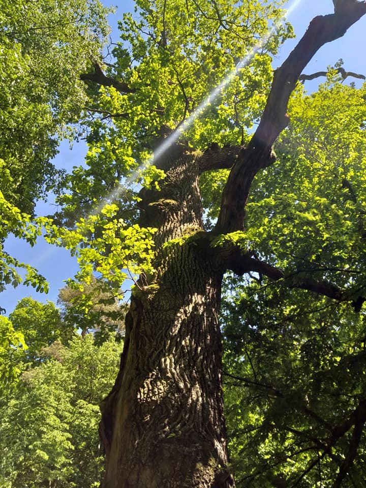 Ewelina Kroll (@ewelinakroll) on Twitter photo 