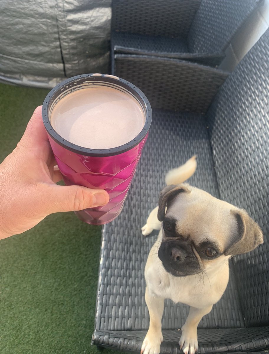 ozzieunited2011's tweet image. Check out this afternoon pick me Up a ice cold #SmartCombination with our #SmartCocoa and #AreoChocolate what a way to get an Energy Boost with the kids and Dog in full swing today 🤣🤣

#AmandaOzCoffeeShop🇬🇧🇺🇸 AmandaOz.co.uk @AmandaOzCoffee1 @AmandaOz5 @Ibra_official