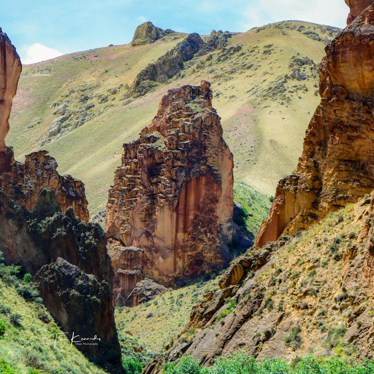 ChaosPhotograp2's tweet photo. Leslie Gulch ~ Oregon
#chaosphotographyidaho #snuckovertheborder #lesliegulchoregon #oregon #landscapephotography #naturephotography #naturalwonders #phototheraphy #rockformations https://t.co/Bi2ikbKJM5