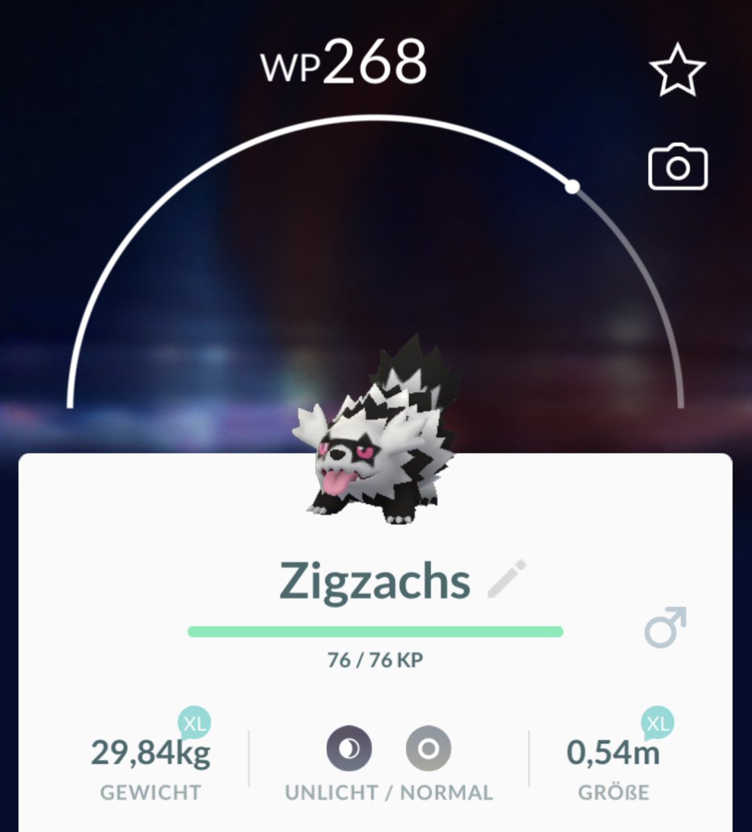 EntonBerlin's tweet photo. And again a #Galar #Pokemon #hetch #PokemonGO #PoGO https://t.co/IZIhZKcbAN