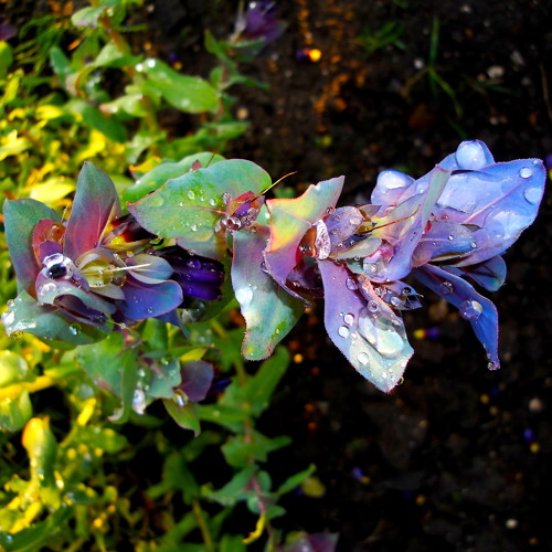 Four Tet - Anti Racism Tech House
nightvisionsradio.com/four-tet-anti-…