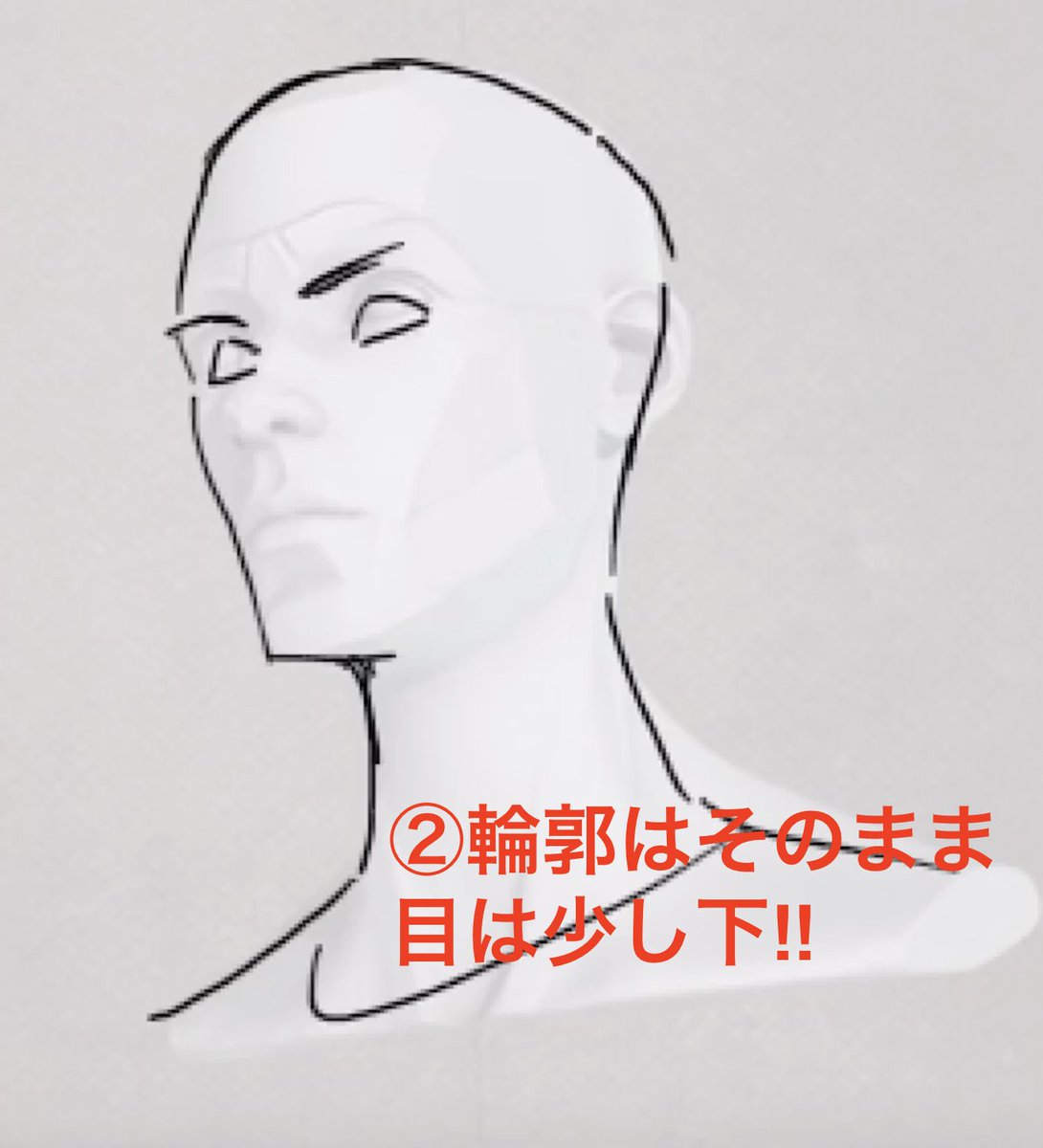 ◯3Dアタリを下敷きにして描いてみる!!
①土台の3Dアタリ
②輪郭はそのまま、目は少し下に
③耳鼻口もそのままいける
④アオリで矢印方向の髪の毛のボリューム大きく
思ってる以上にそのまま使える3Dでした。
取捨選択と使えるところは限りなく忠実に使う。
手癖に引っ張り込まない!! 